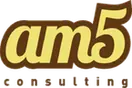 AM5 Consulting